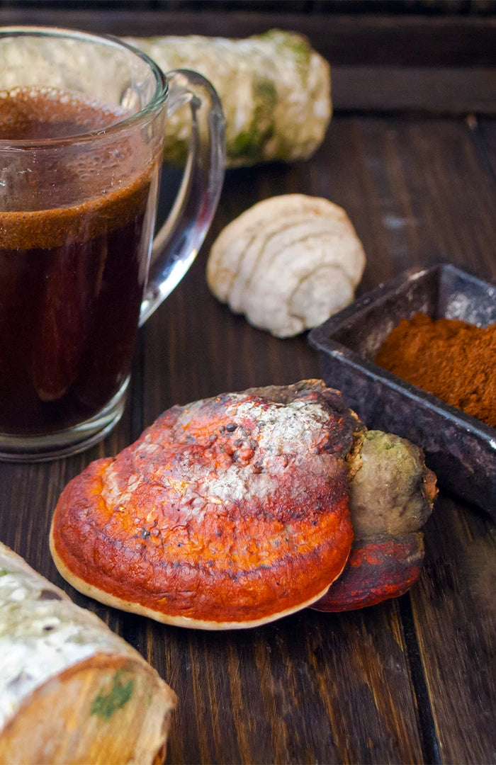 Cafe Ganoderma Reishi 2-in-1 Mushroom Colombian Coffee black