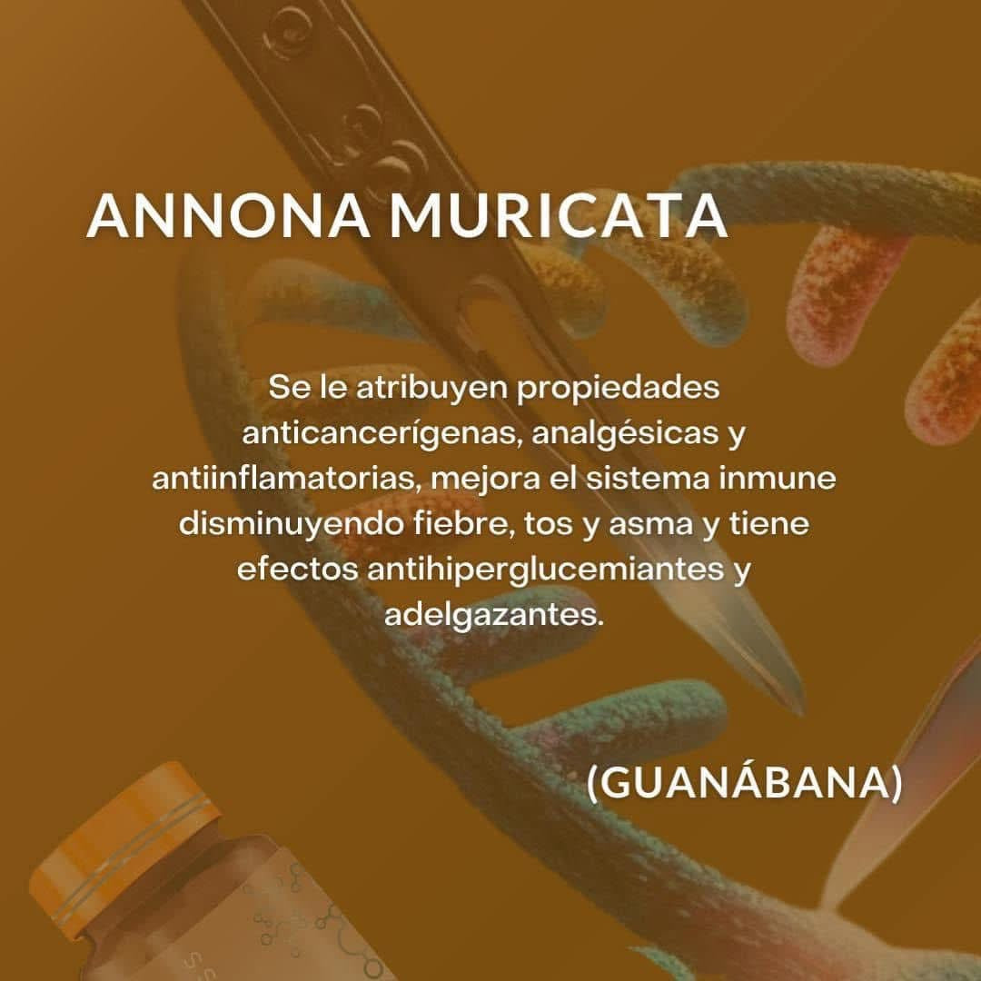 AHCC plus regenera cicatrices