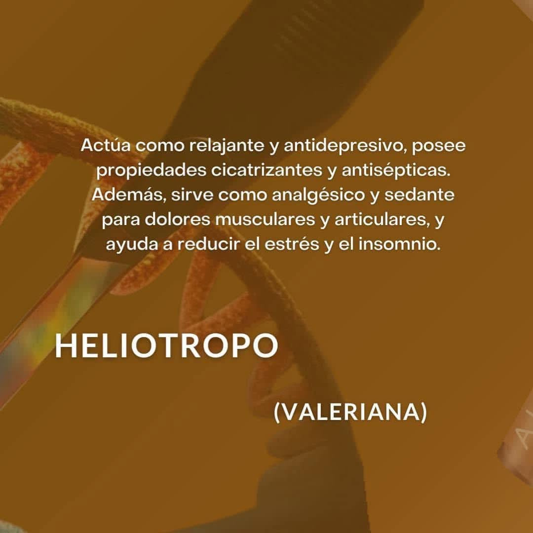 AHCC plus regenera cicatrices