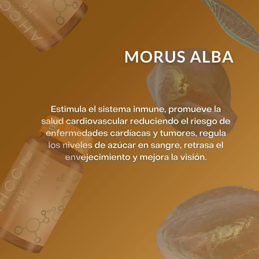AHCC plus regenera cicatrices