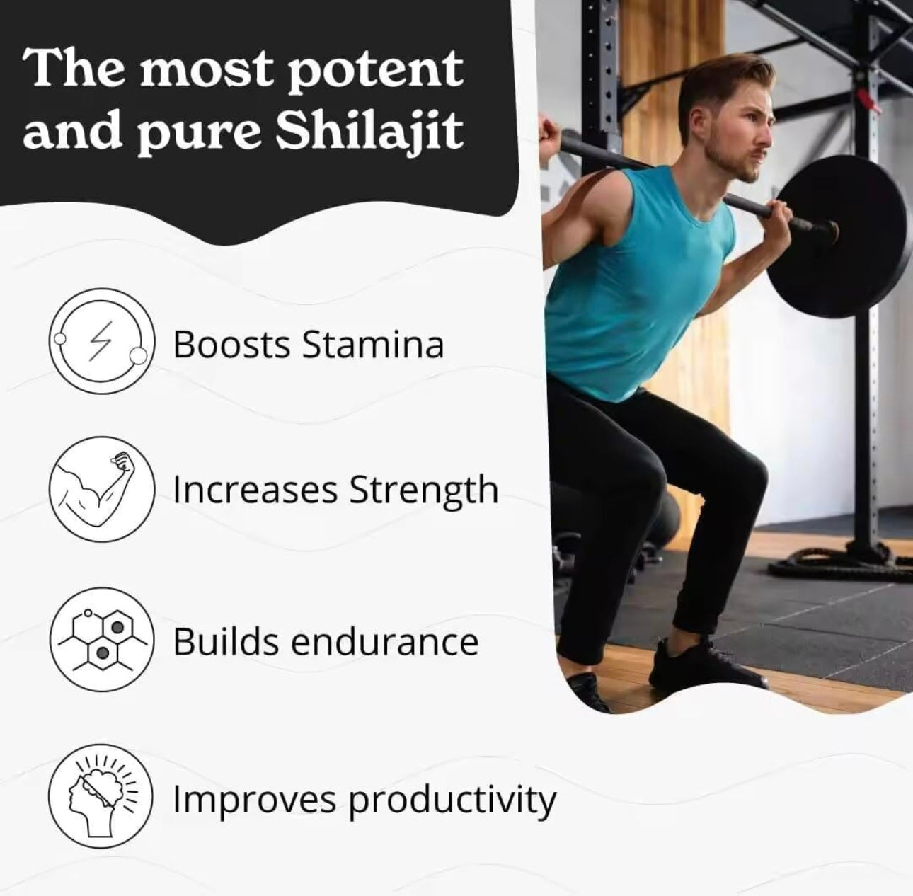 Himalayan Shilajit