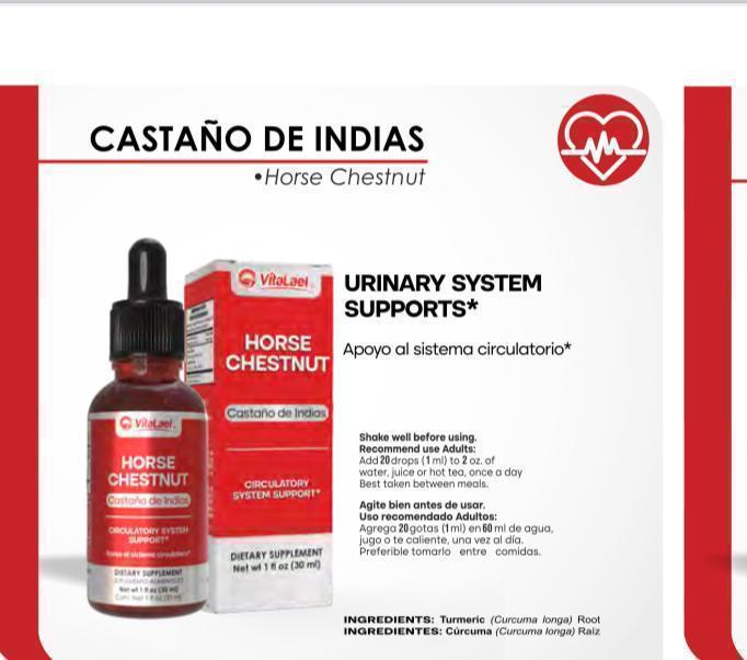 Castaño de Indias Extracto de aceite