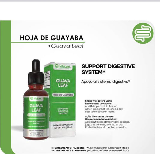 Hoja de Guayaba en extracto de aceite