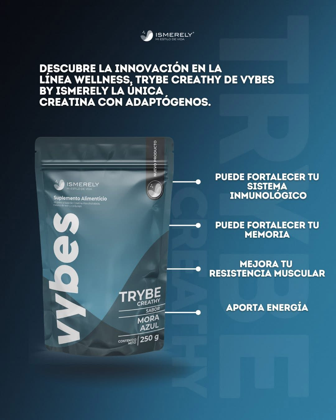 Creathy Vybes Creatina Supplement