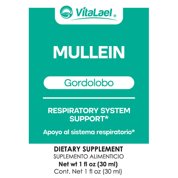 Mullein - Gordo Lobo