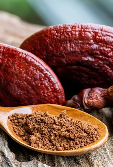 Caffe Ganoderma REISHI Mocha Latte Coffee Gourmet